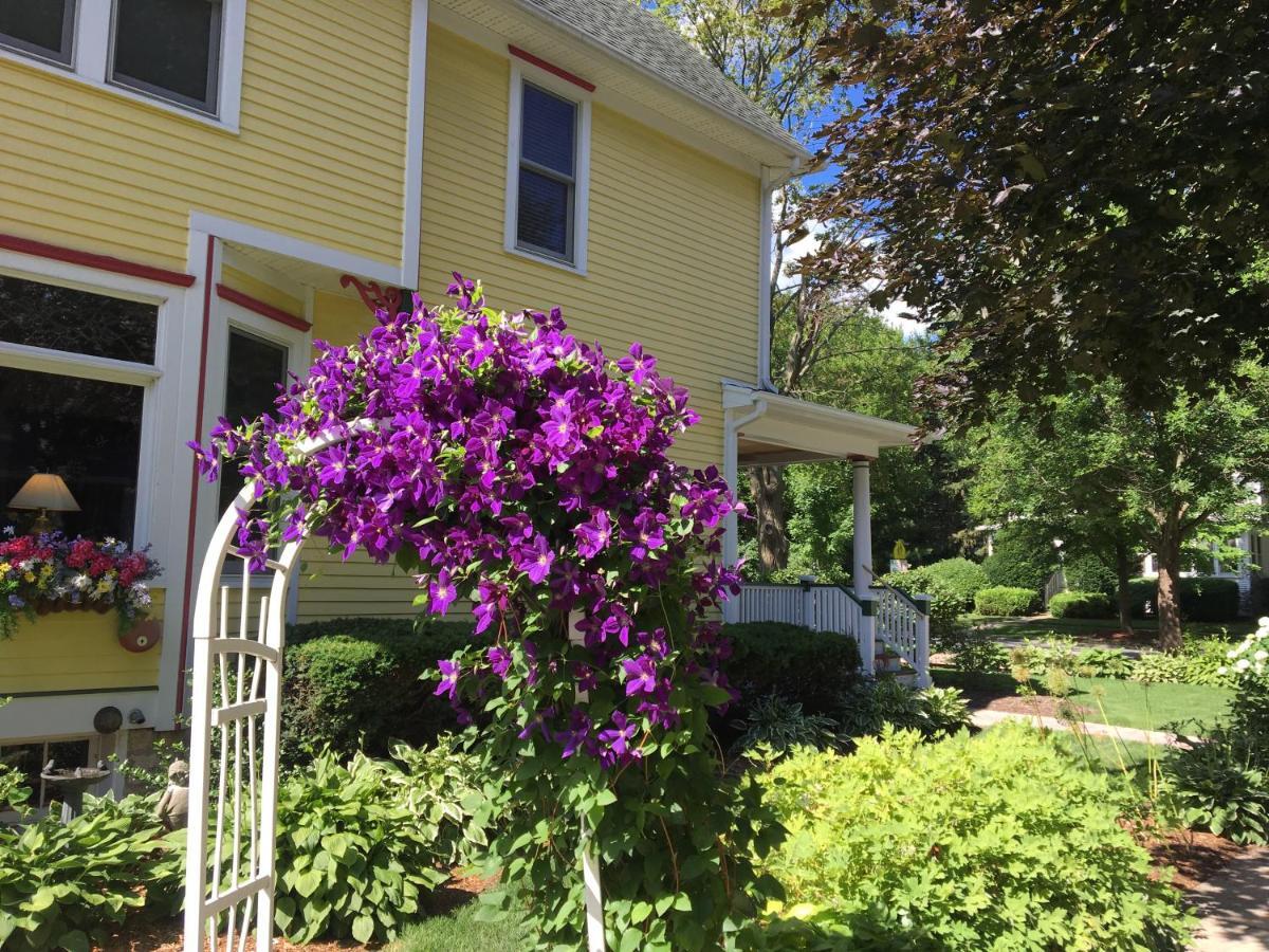 Harrison House Bed & Breakfast 内珀维尔 外观 照片